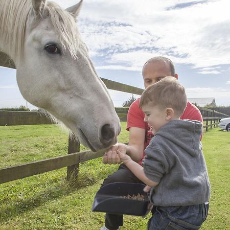 Pebble Mill Bed & Breakfast Dublin Luaran gambar